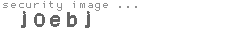 security image