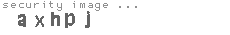 security image