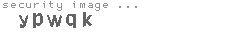 security image