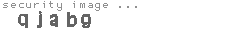security image