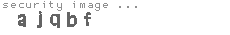 security image