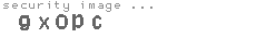 security image