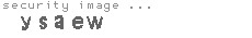 security image