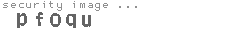 security image