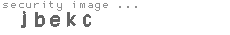 security image