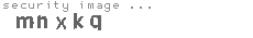 security image