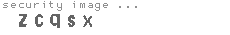 security image