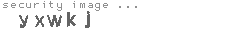 security image