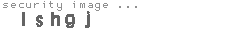security image