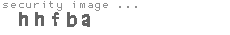 security image
