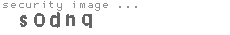 security image