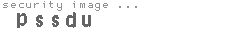security image