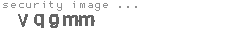 security image