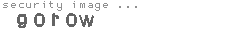 security image