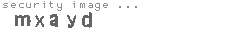 security image