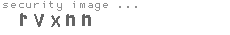 security image