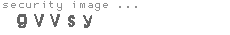 security image