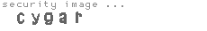 security image