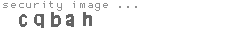 security image