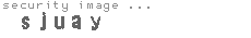 security image