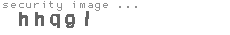 security image