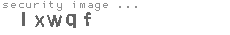 security image
