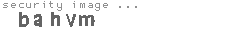 security image