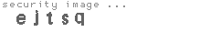 security image