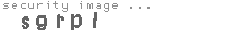 security image