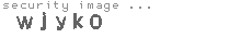 security image