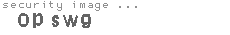 security image