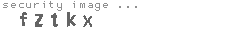 security image