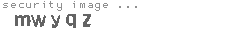 security image