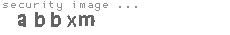security image