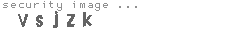 security image