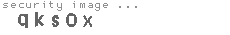 security image