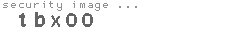 security image