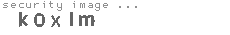 security image
