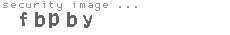 security image