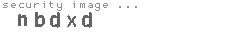 security image