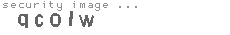 security image