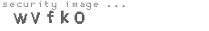 security image