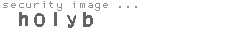 security image
