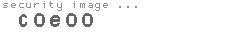 security image