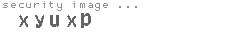 security image