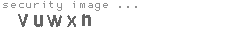 security image