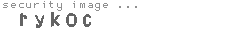 security image