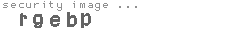 security image