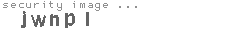 security image