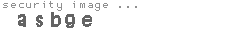 security image